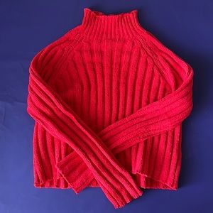 American Eagle Red Turtle Neck